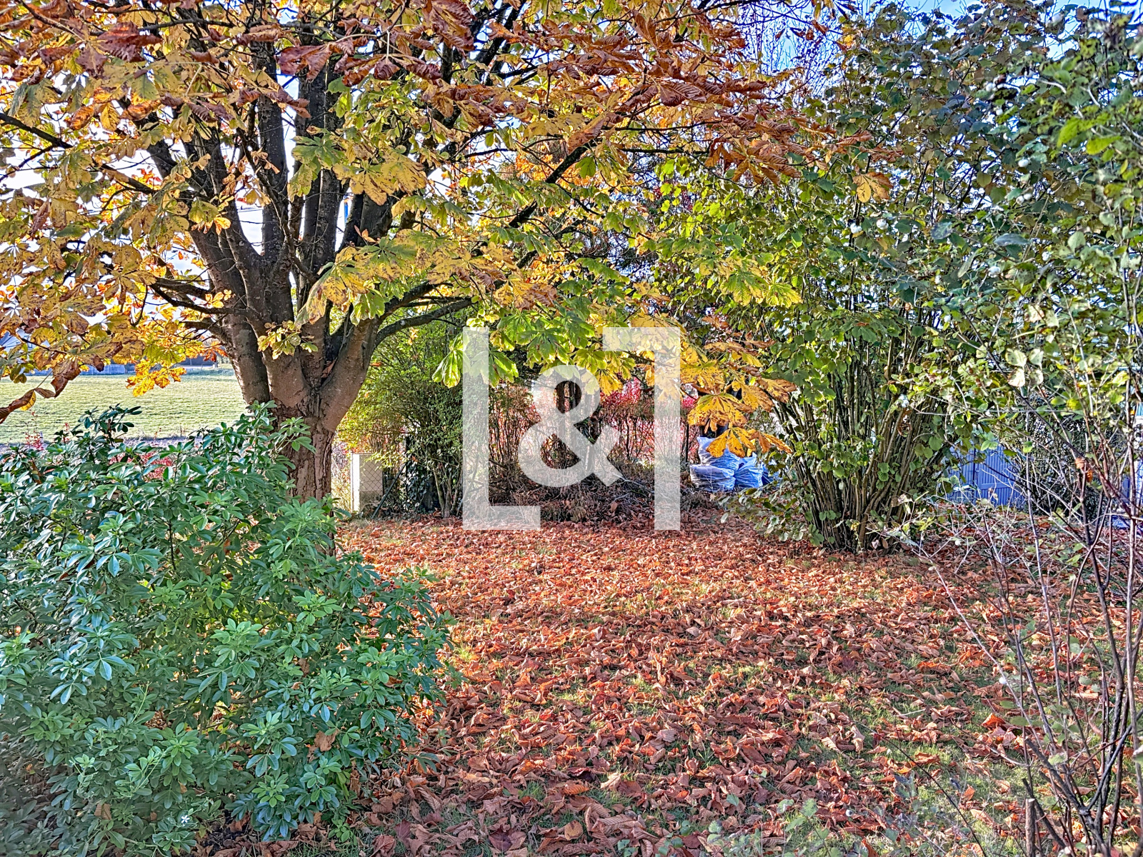 Image_, Maison, La Neuville-Chant-d'Oisel, ref :2025870