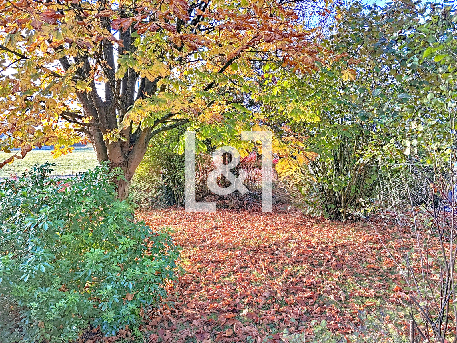 Image_, Maison, Boos, ref :20250870